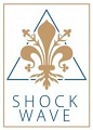 shock2025